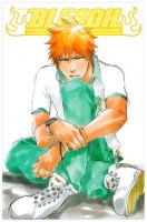 Bleach 15